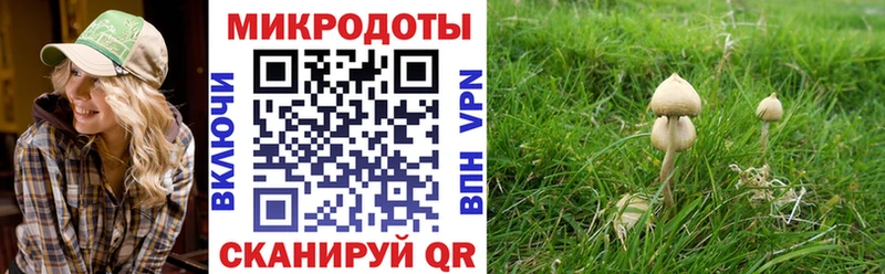 блэк спрут ССЫЛКА  Каневская  Псилоцибиновые грибы GOLDEN TEACHER 